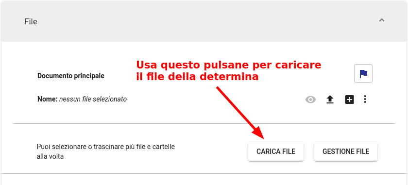 Caricamento file della determina