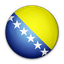 Flag_of_Bosnia_and_Herzegovina.png