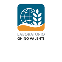 ghino valenti.png