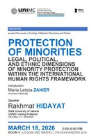 Image - Protection of minorities: legal, political, and ethnic dimensions of minority protection within the international human rights framework
