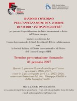 Borse di studio per specializzazioni in Diritto internazionale e Diritto dell'Unione europea Borse di studio per specializzazioni in Diritto internazionale e Diritto dell'Unione europea