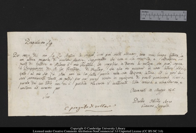 manoscritto leopardi.jpg