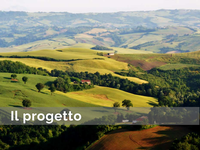 Qual è il contributo delle Università allo sviluppo locale?