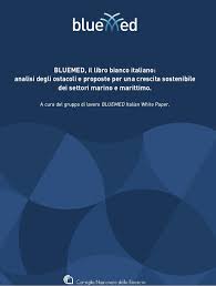 BLUEMED, il libro bianco italiano