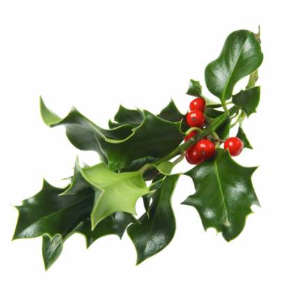 (Quasi) un racconto di Natale