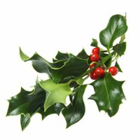 (Quasi) un racconto di Natale